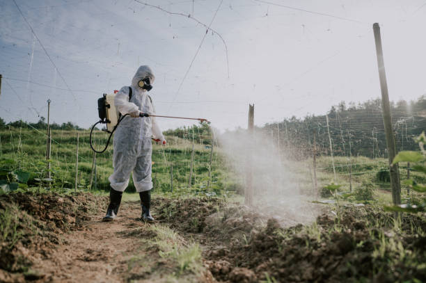 Best Pest Removal Services  in Evans City, PA