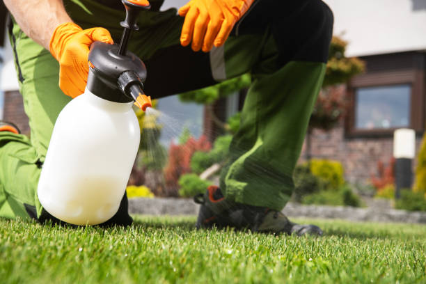 Best Cockroach Control Services  in Evans City, PA