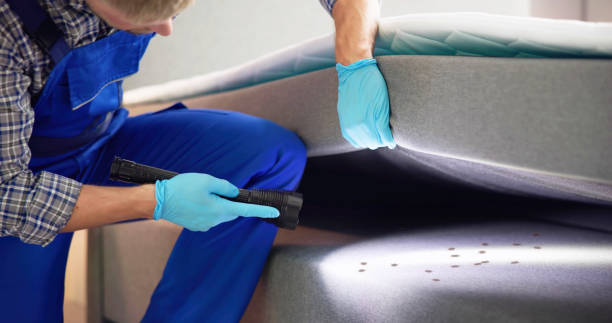 Best Wasp Removal Services  in Evans City, PA