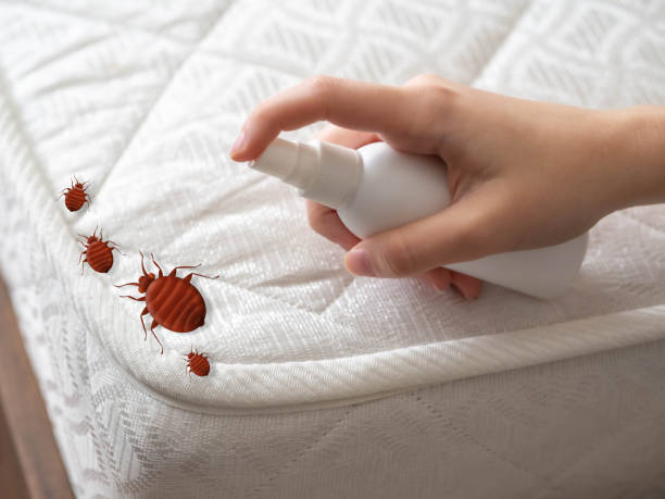 Best Pest Control Near Me  in Evans City, PA
