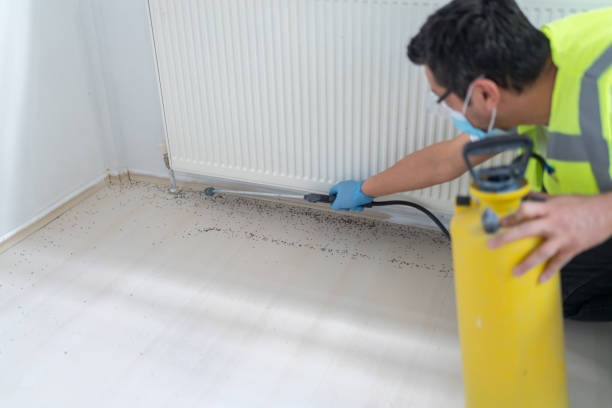 Trusted Evans City, PA Pest Control Experts